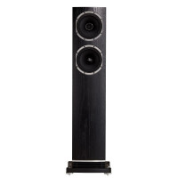 Fyne Audio F501 - Czarny