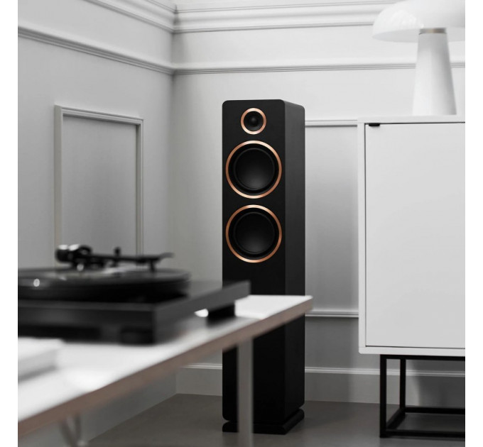 Argon Audio Fenris A55 Black
