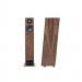 PMC twenty 5.23 Walnut