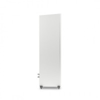 Martin Logan Motion XT F100 Para