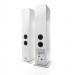 Argon Audio Forte A55 White
