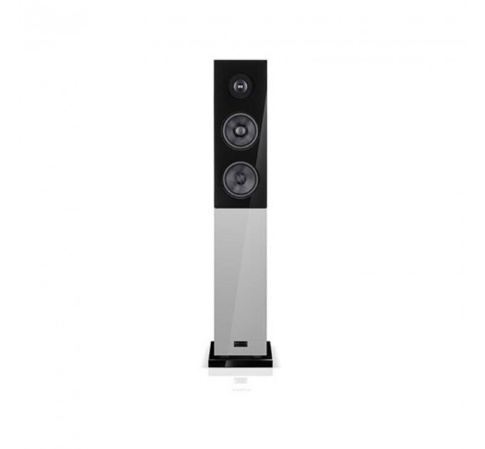 Audio Physic Classic 15 GLASS SILVER GRAY