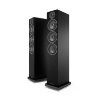 Acoustic Energy AE 120 Walnut Vinyl Venner