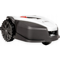CEDRUS C-MOV M12+