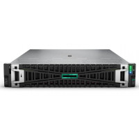 HPE ProLiant DL385 Gen11 (P59706-421)