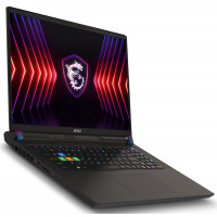 MSI Vector 17HX A14VGG (A14VGG-221PL)