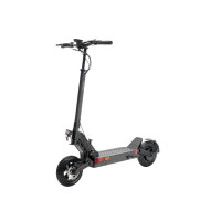 Motus Pro 10 2022