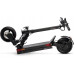 Motus Pro 10 2022