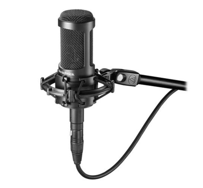 Audio-Technica AT2050