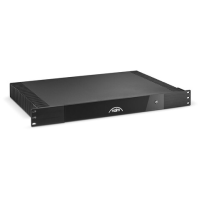 Підсилювач потужності Naim CI-NAP 101