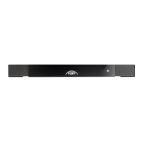 Підсилювач потужності Naim CI-NAP 101