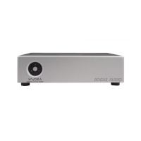 Стереопідсилювач потужності Rogue Audio Hydra Silver