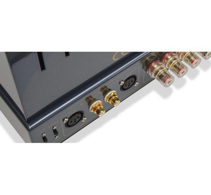 Підсилювач потужності PrimaLuna EVO 300 Poweramp чорний