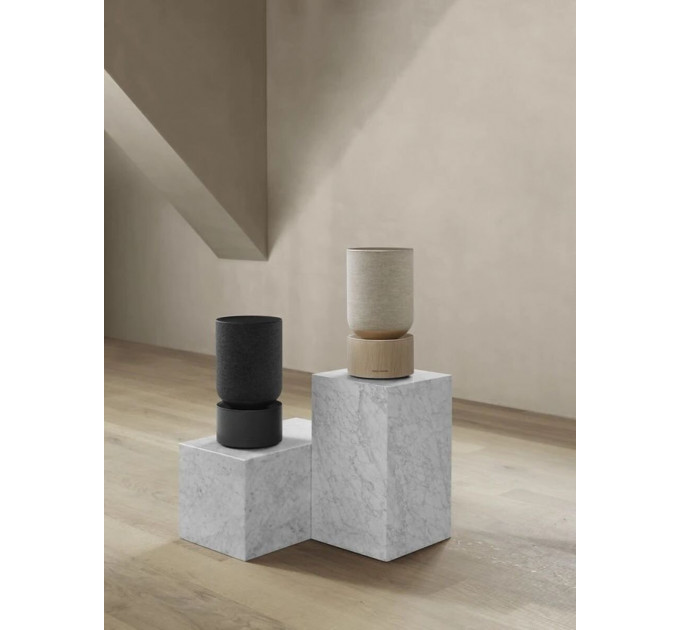 Bang & Olufsen BeoSound Balance Black Oak (1200503)