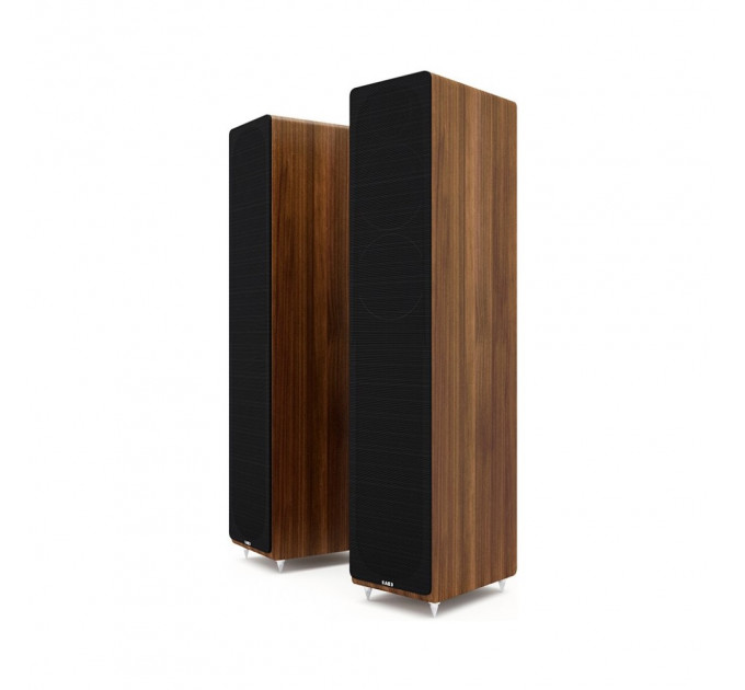 Acoustic Energy AE 309 Walnut Wood Veneer
