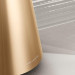 Bang & Olufsen BeoSound 2 3rd. Generation Gold Tone