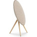 Bang & Olufsen Beosound A9 5th Gen. Gold Tone