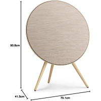Bang & Olufsen Beosound A9 5th Gen. Gold Tone