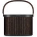 Bang & Olufsen Beosound A5 Dark Oak