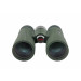 Kowa BD II 10x42 XD (927703)