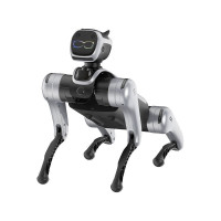 Magiclab Magicdog Education