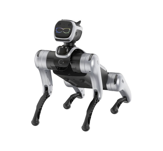 Magiclab Magicdog Education
