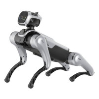 Magiclab Magicdog Education