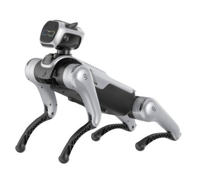 Magiclab Magicdog Education