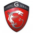 MSI